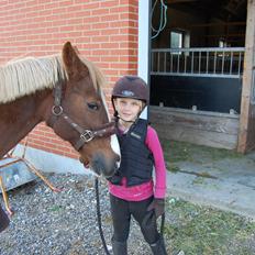 Anden særlig race cassiopeia