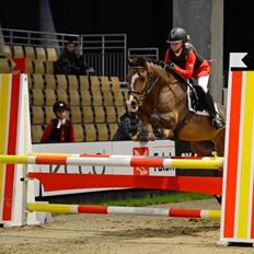 Anden særlig race Simba 