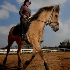 Anden særlig race sascha ( miin )