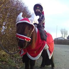 Miniature kim buller håber du har det godt<333333333