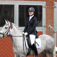 New Forest Lundemarksgårds Favorit