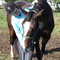 Anden særlig race Søbo's Chacor 