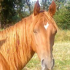 Quarter Our Nike Deesign