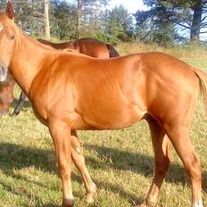 Quarter Our Nike Deesign