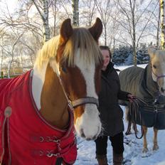Anden særlig race Royal Rocky