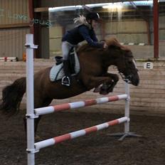 New Forest Engdalens Wendy - min bedste ven <3