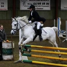 Anden særlig race Moonjam