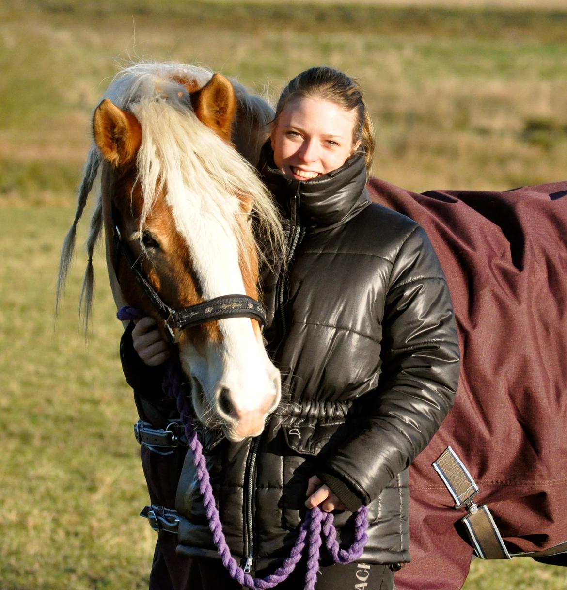 Haflinger LuLu Lakisha billede 22