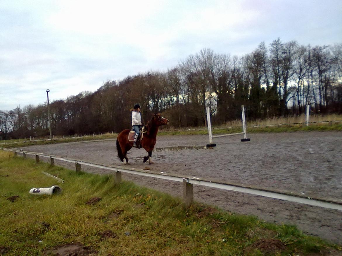 Anden særlig race Luna - Fra i går da vi red <3<3 billede 3