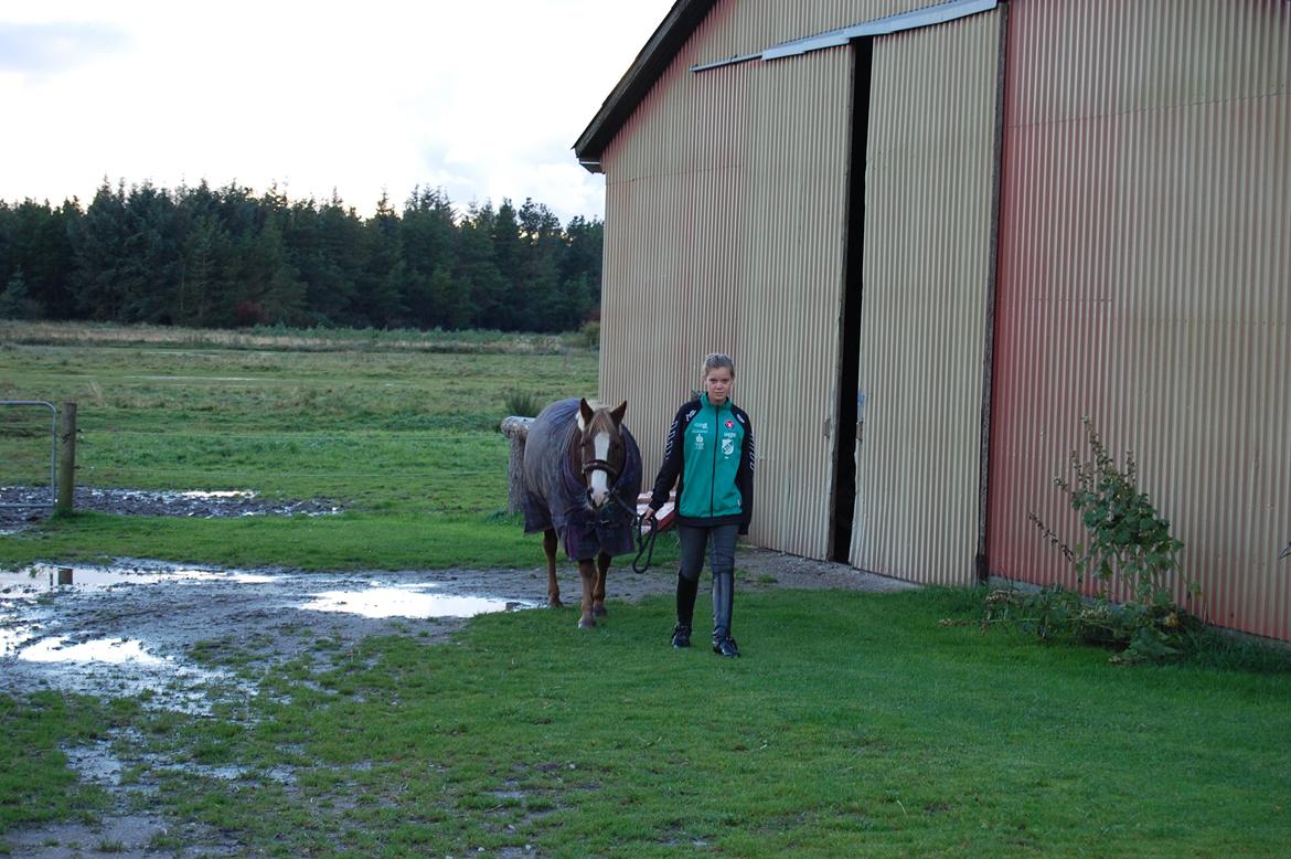 Anden særlig race cassiopeia billede 1