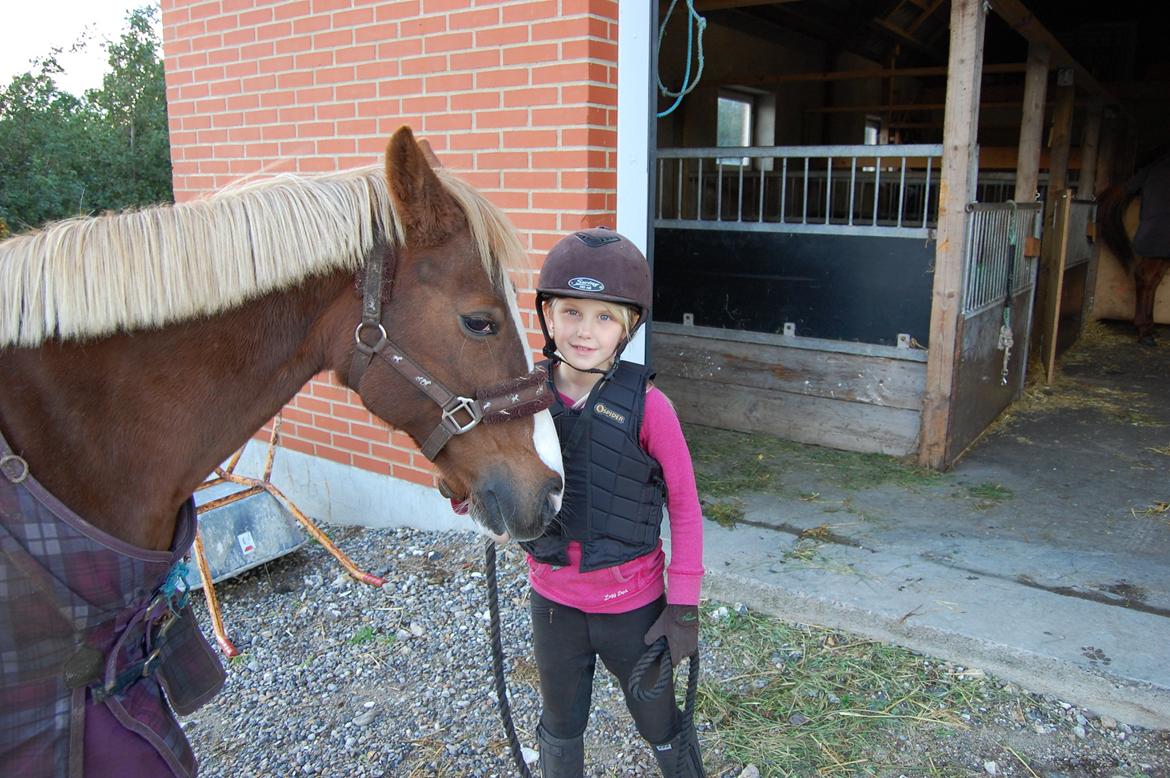 Anden særlig race cassiopeia billede 3