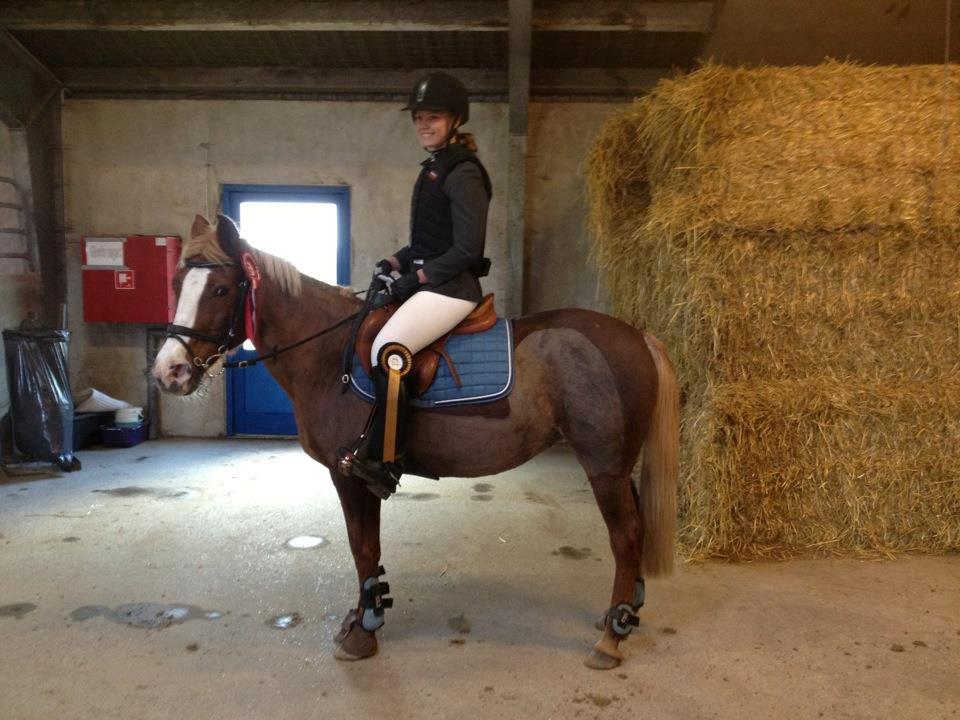 Anden særlig race cassiopeia billede 4