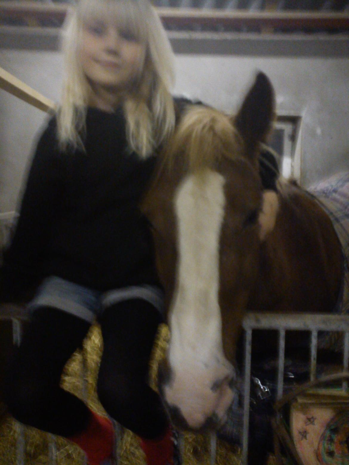 Anden særlig race cassiopeia billede 5