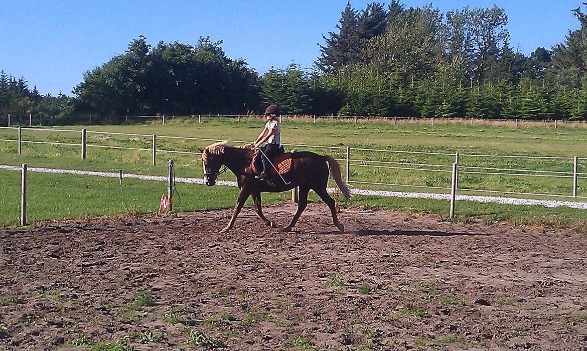 Anden særlig race cassiopeia billede 6