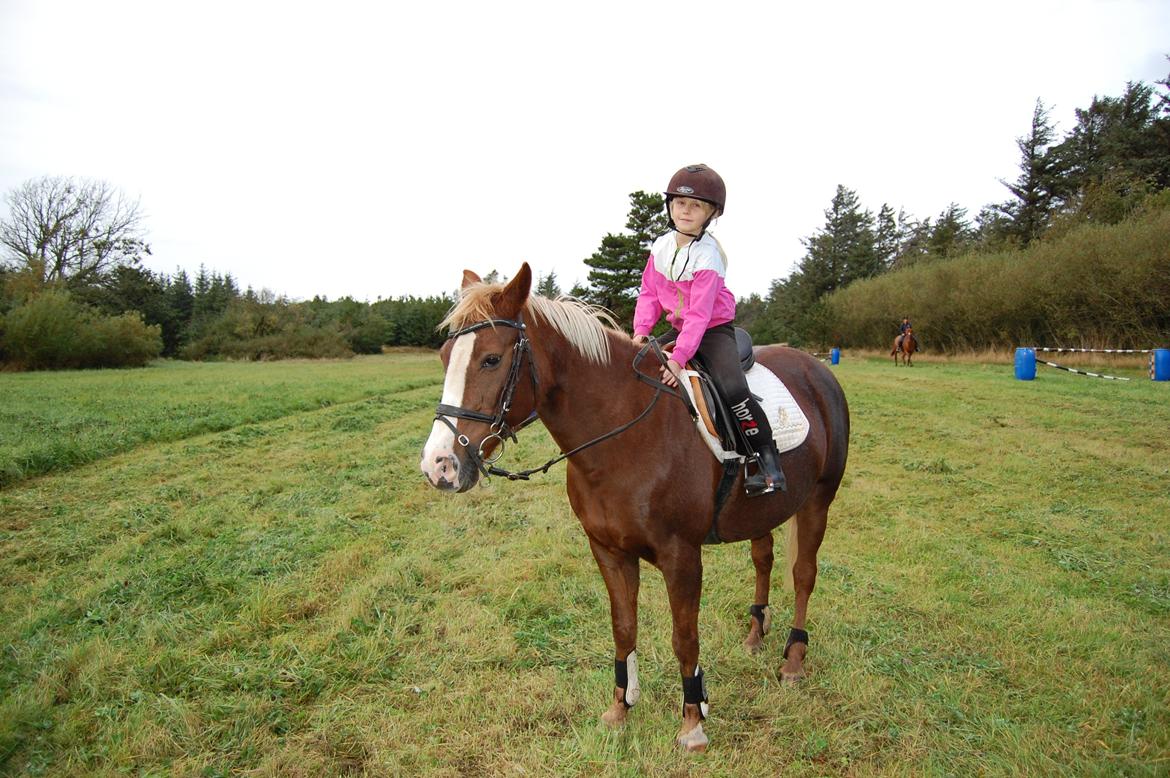 Anden særlig race cassiopeia billede 8