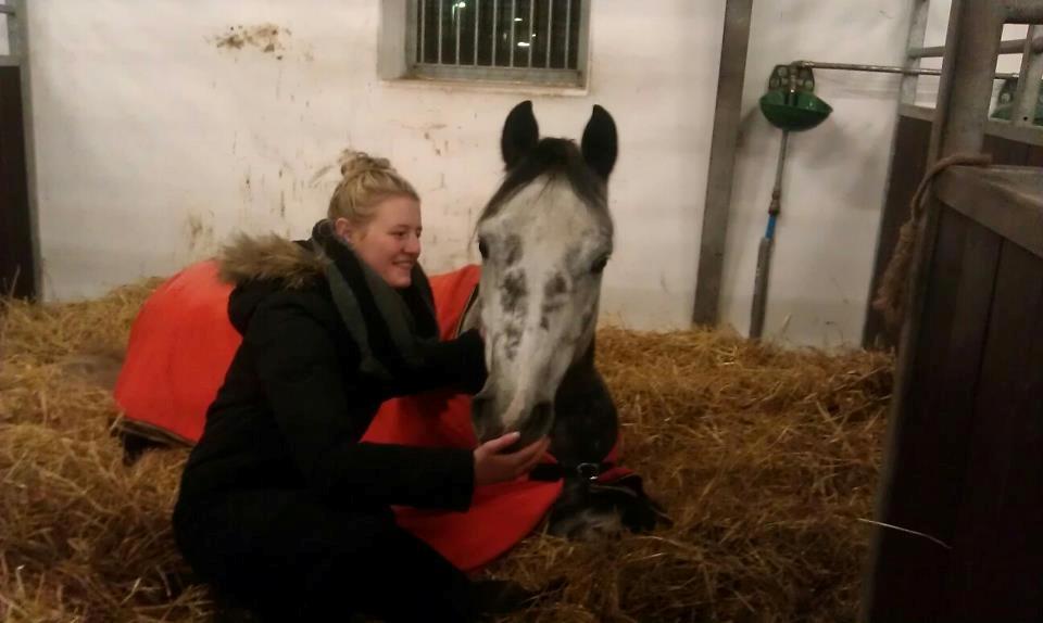 Anden særlig race Bech's Padraigh aka. Paddy :-) - Verdens aller bedste ven<3<3 billede 19