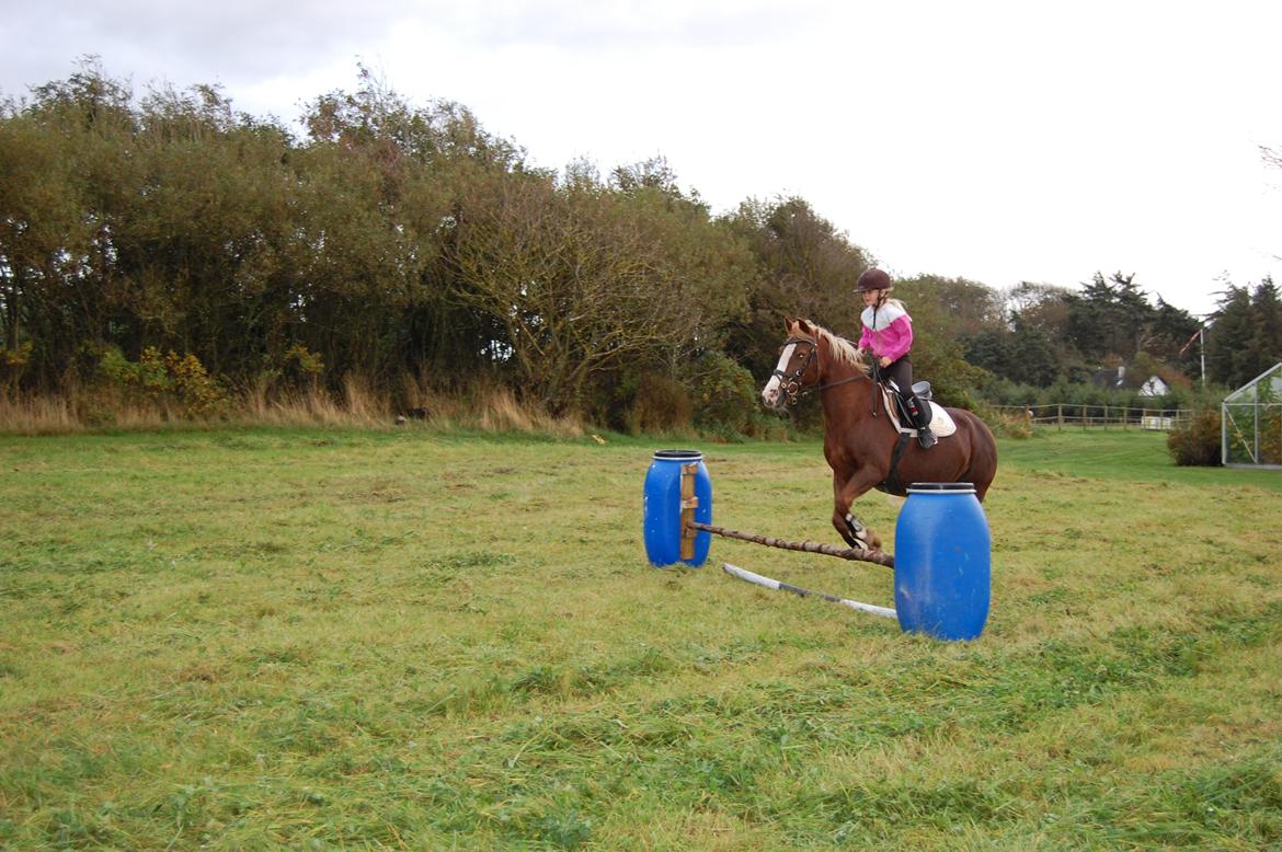 Anden særlig race cassiopeia billede 9