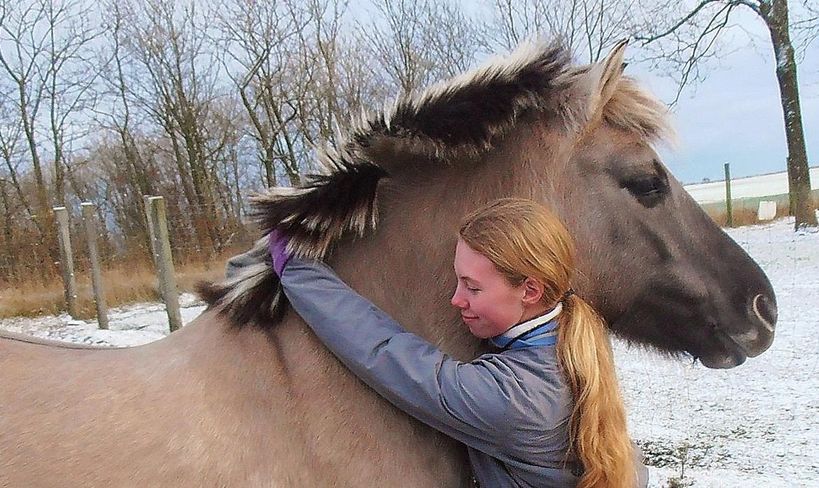 Anden særlig race Blakken - ''Du kan ikke tvinge en hest til at elske dig. Kærlighed kommer med tillid og tillid kommer med tålmodighed. Gør dig selv den tjeneste at have denne tålmodighed og du får dig en ven for livet'' billede 19