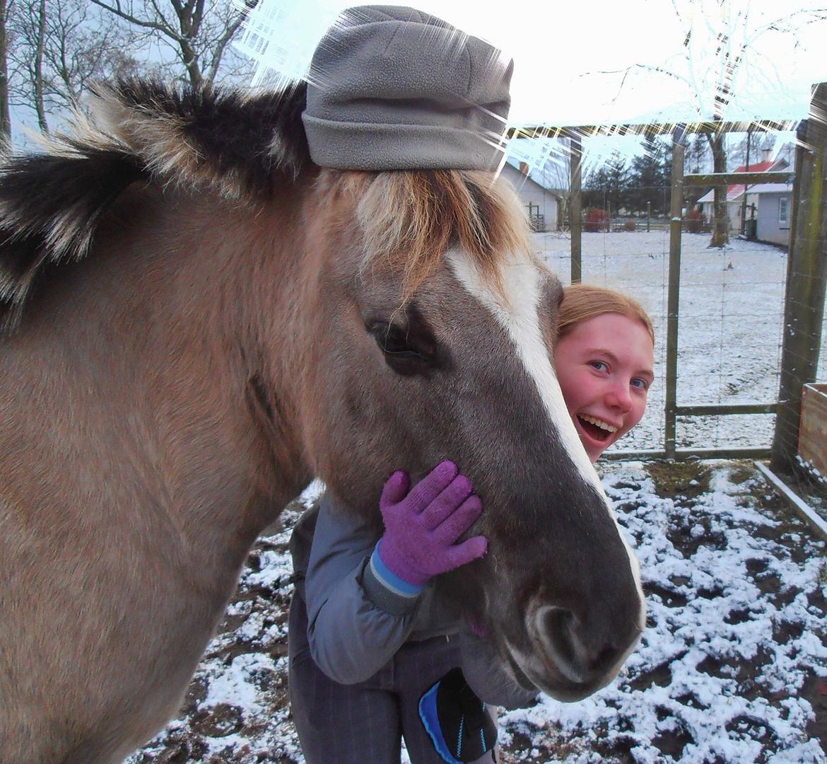 Anden særlig race Blakken - ''Leg for legens skyld'' billede 20