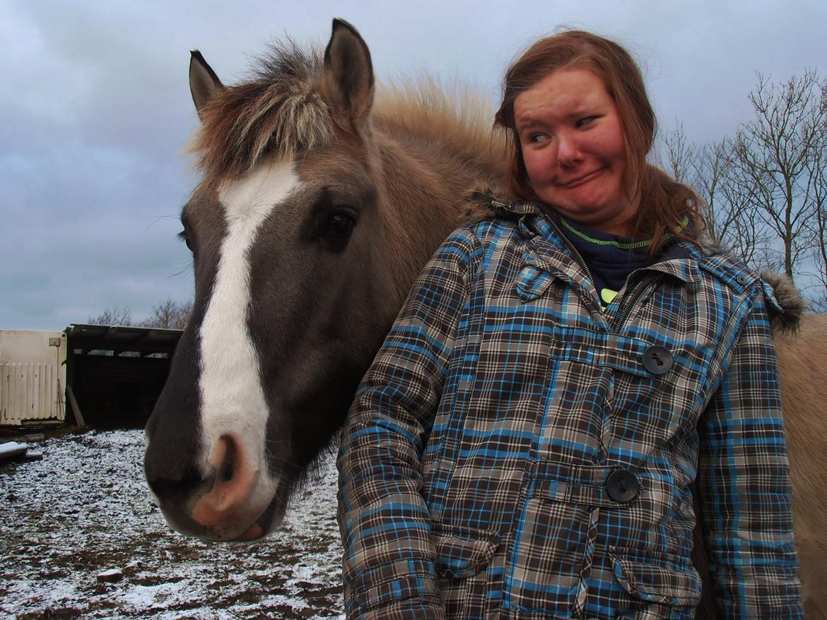 Anden særlig race Blakken - ''Min hest er mit spejl, som uforfalsket gengiver mine dårlige og gode luner.
Se din hest i øjnene og lad dig ikke skræmme af sandheden'' billede 13