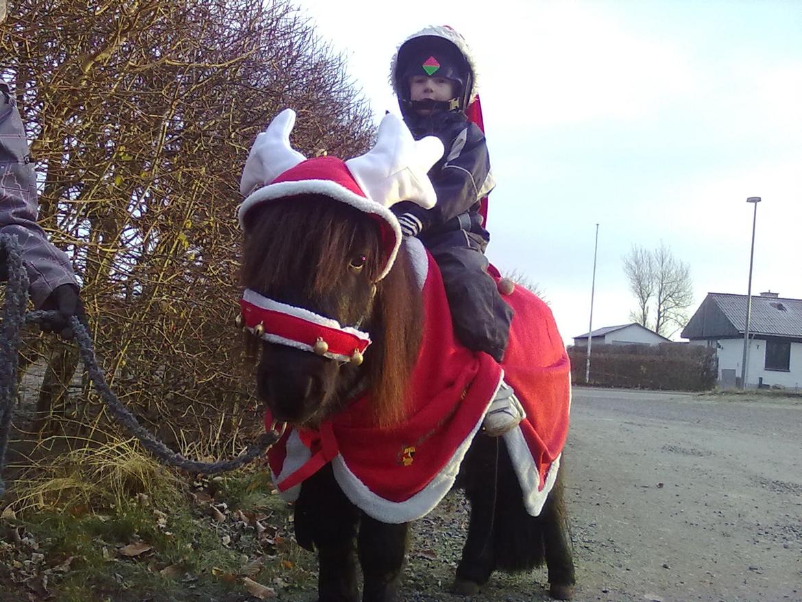 Miniature kim buller håber du har det godt<333333333 - glædelig 1 december billede 2