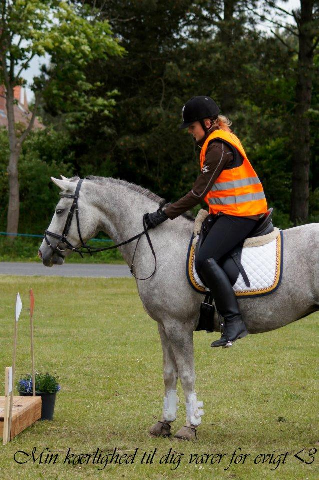 Anden særlig race Mc. Zoya Z - Du er den dejligste pony der findes, og du vil altid være min ynglings hest! <3  billede 15