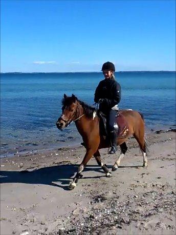 Anden særlig race Frig - altid i mit hjerte!  billede 2