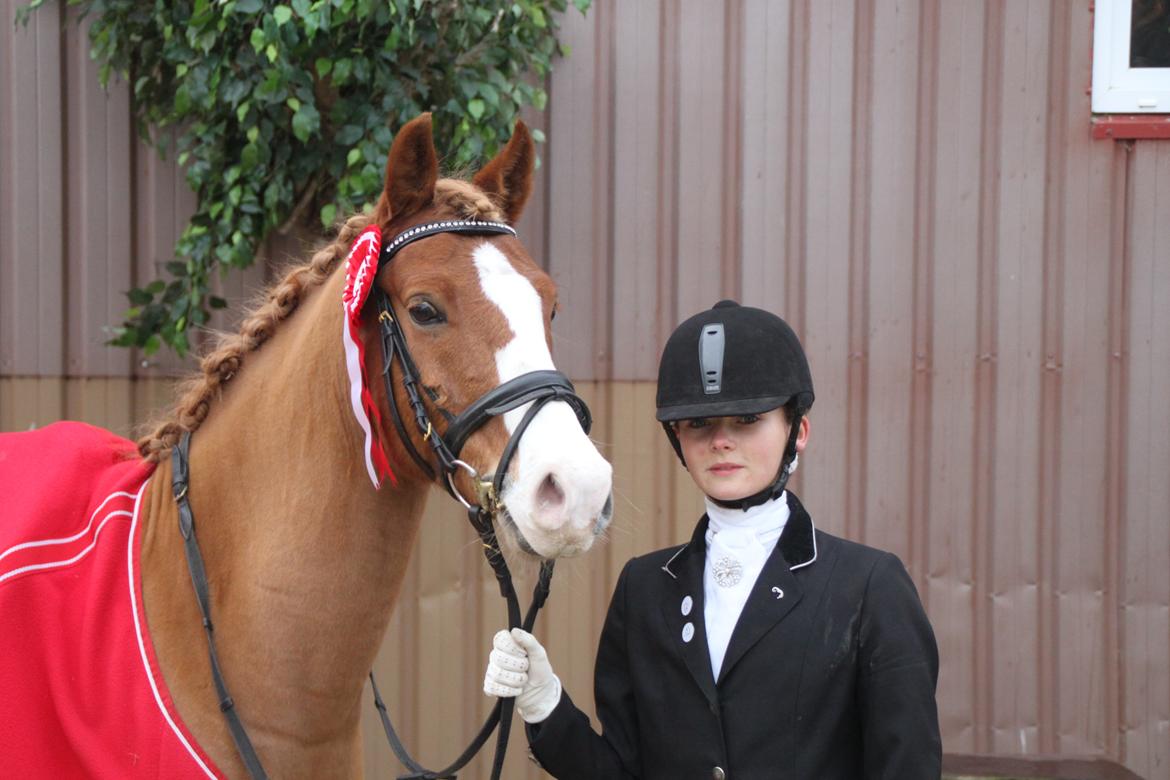 Tysk Sportspony Sky S billede 6