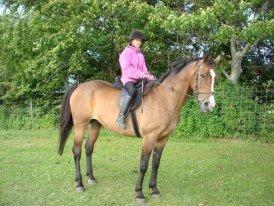 Anden særlig race Sleipner - sleipner og mig på sommerfold ta jer ikke af min opstilling jeg var ikke så god til og ride på det tidspunkt xD billede 12