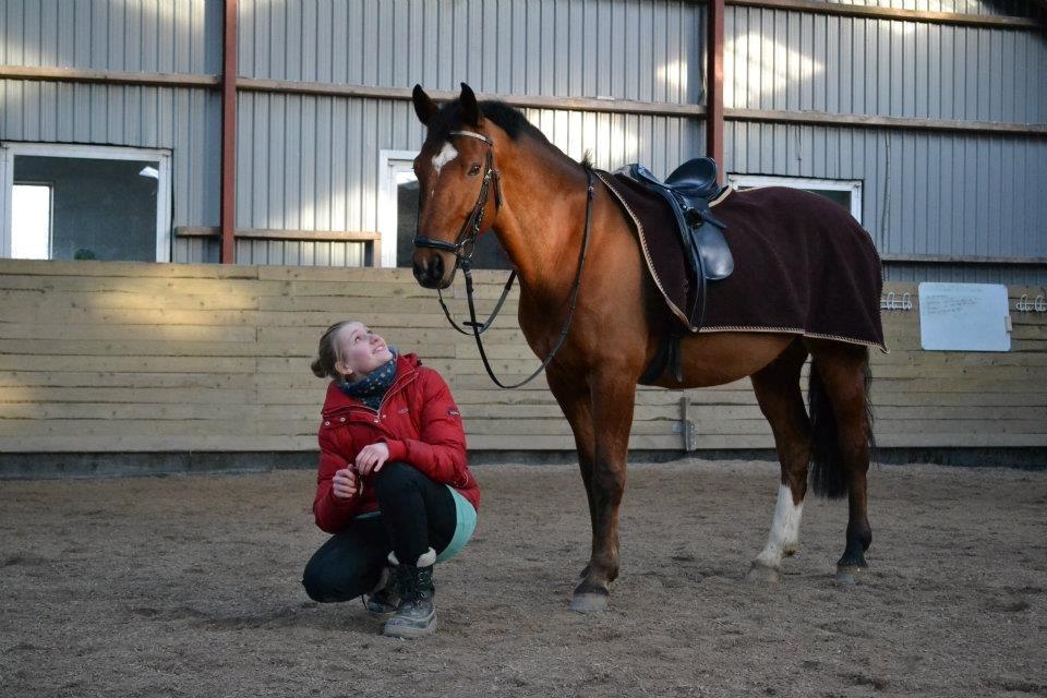 Dansk Varmblod Skandi Light Star - Lækker hyp (starten af 2012) billede 11