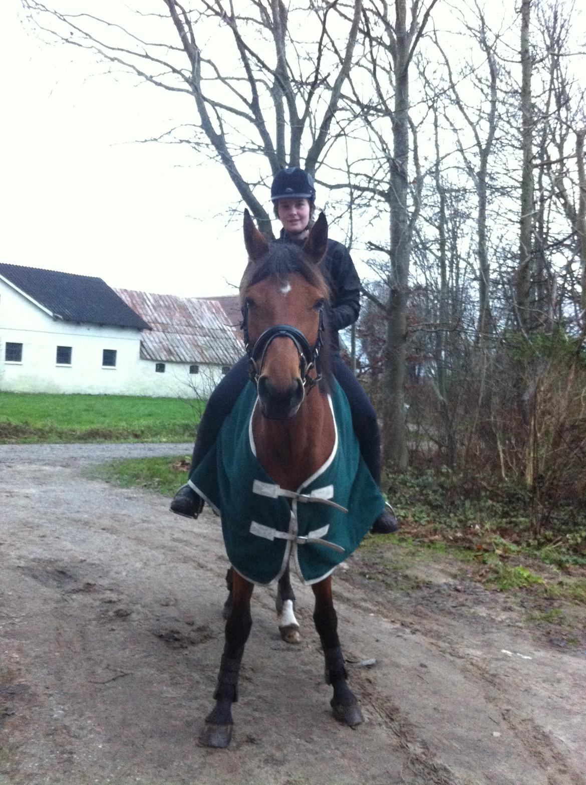 Dansk Varmblod Lucky Capana - Lucky og jeg, på vores første tur hjemme :-) d. 28/11 - 2012 billede 8