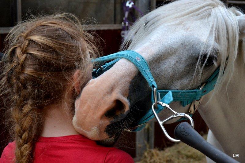 Anden særlig race Shadow - Kys fra Shadow på første dag, sommer 2012 billede 8