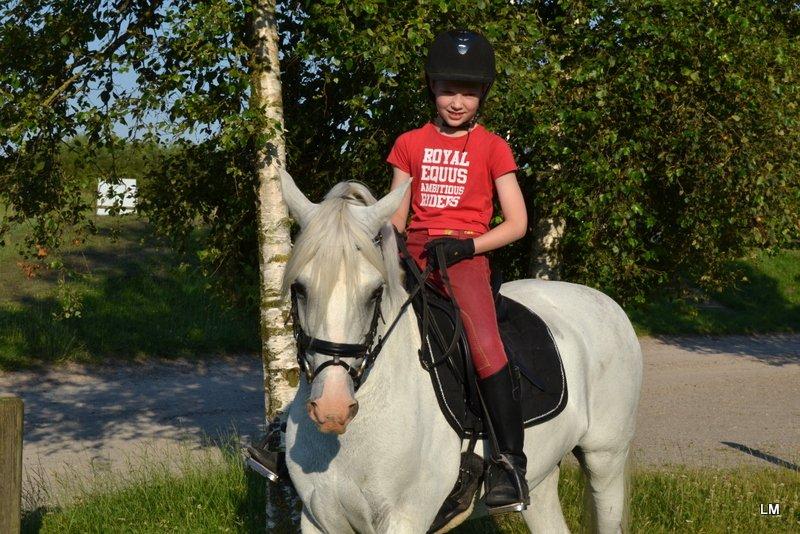 Anden særlig race Shadow - Første dag med Shadow, sommer 2012 billede 10