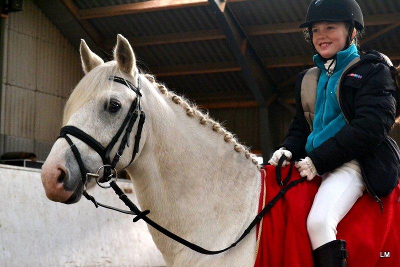 Anden særlig race Shadow - Første stævne på Shadow, efterår 2012 billede 9