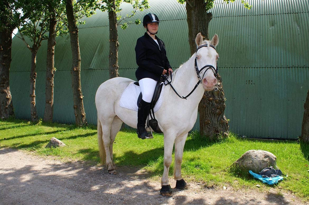 Connemara » Flying Dutchmann - 2012. Glad efter et vellykket ridt i LC2 hvor vi vandt ! ♥ billede 11