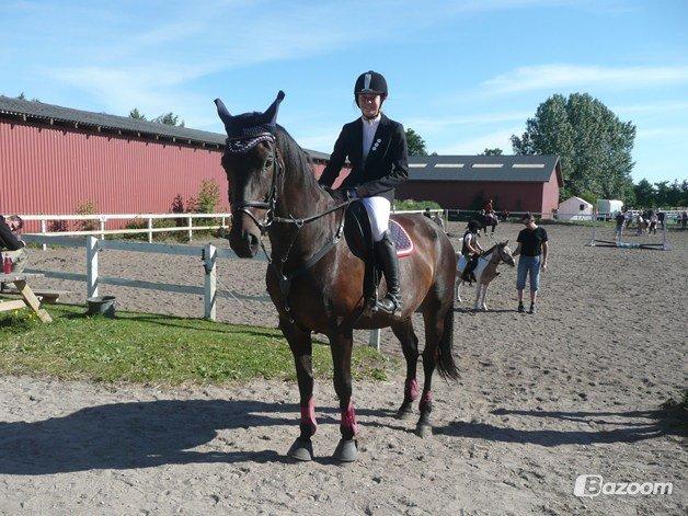 Dansk Varmblod Duet billede 15