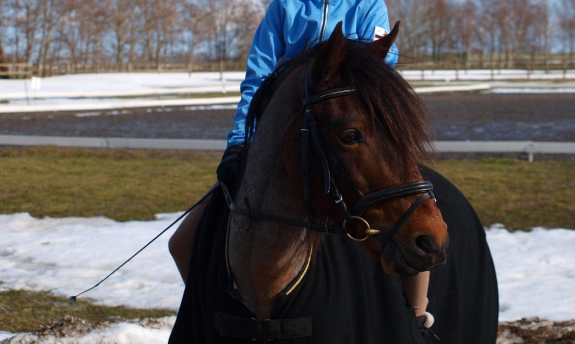 Anden særlig race Strauss (Strussen) <3 - Strauss marts 2010 billede 18