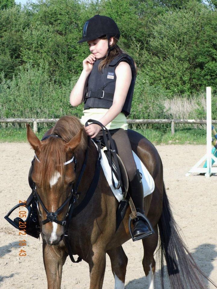 DSP ROSENKILDES MARQUIS - Søtte skiden!<3 billede 17