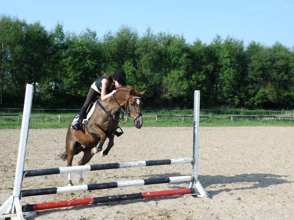 DSP ROSENKILDES MARQUIS - Springtræning d. 4/6-12 billede 19