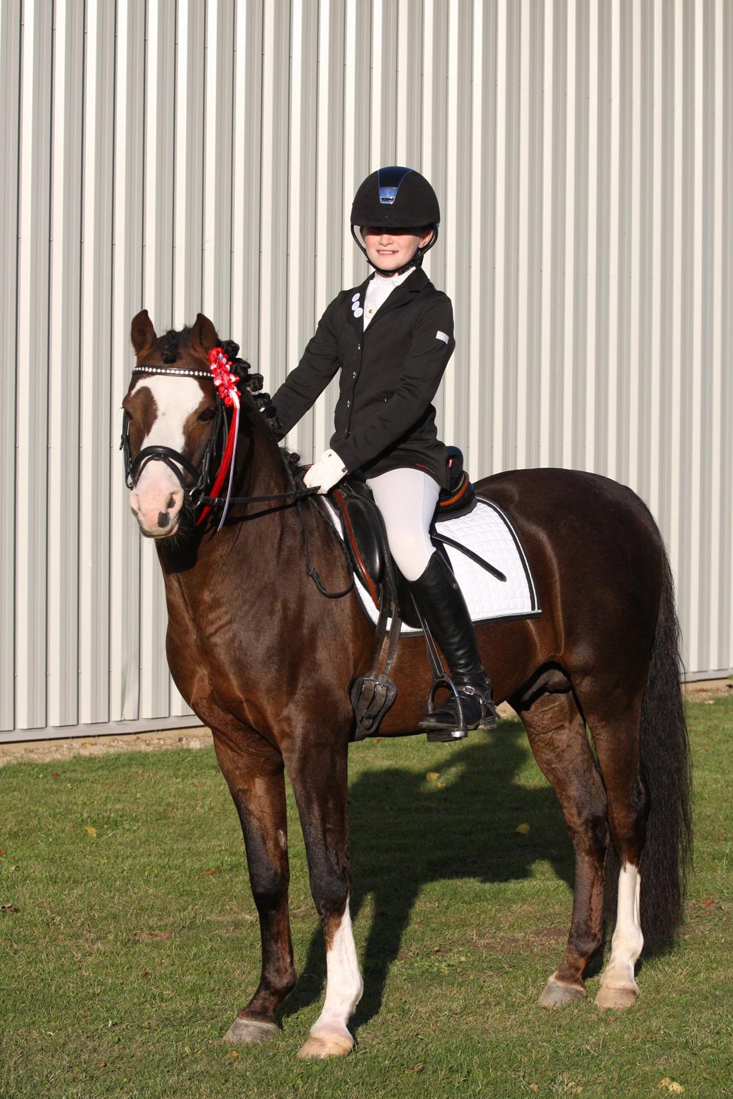 Welsh Pony (sec B) Moelgarnedd Montana A PONY - Første stævne i NFRK 2 1. pladser billede 9