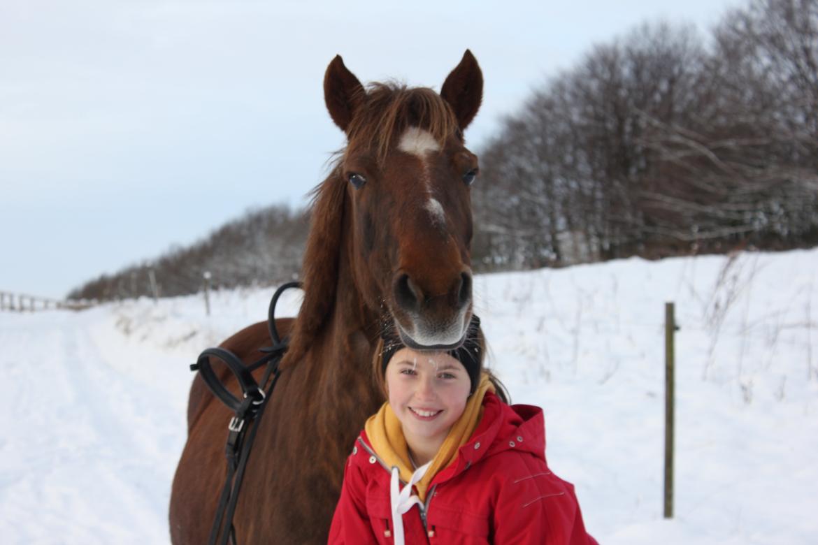 DSP Malou - Vinter billeder med dejlige Malou billede 1