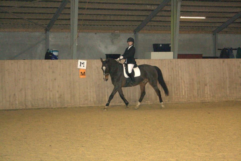 Anden særlig race A'strix - //Foto: Helene Guldborg// HIR LC1 - 1. plads. Nov. 2012 billede 19