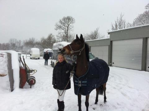 Anden særlig race Colombine (solgt) - Mig og Colo baby i sneen 2012 d. 2 december :-) billede 19