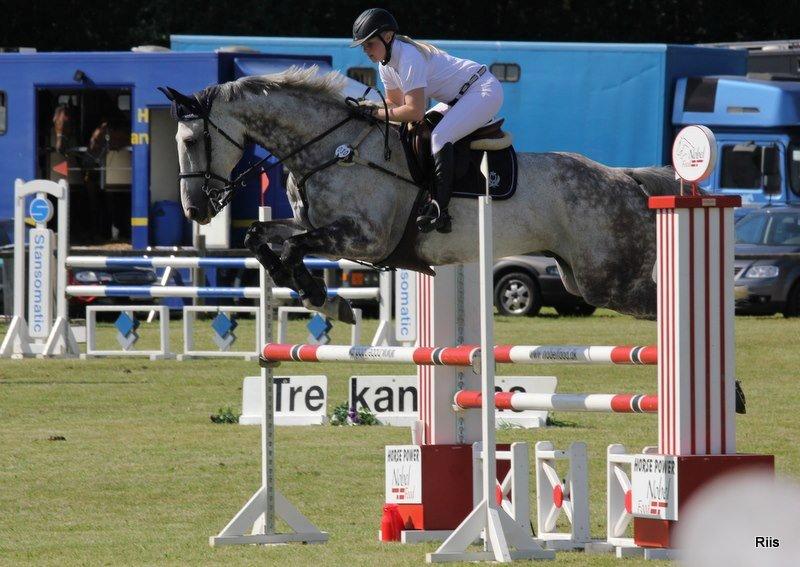 Tysk Oldenburger Benetton Du Rouet - Fra i sommers da vi var i Billund til C-stævne. Billedet er taget af Lisette billede 1