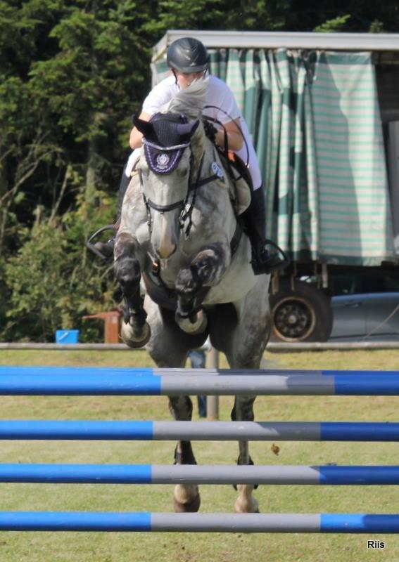 Tysk Oldenburger Benetton Du Rouet - Fra i sommers da vi var i Billund til C-stævne. Billedet er taget af Lisette billede 2
