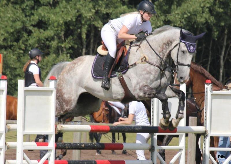 Tysk Oldenburger Benetton Du Rouet - Fra i sommers da vi var i Billund til C-stævne. Billedet er taget af Lisette billede 3