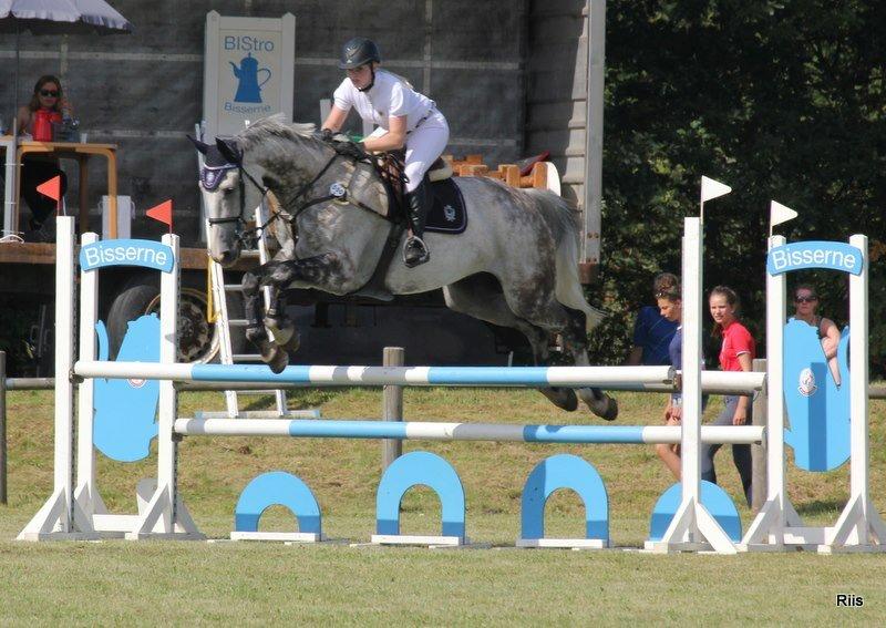 Tysk Oldenburger Benetton Du Rouet - Fra i sommers da vi var i Billund til C-stævne. Billedet er taget af Lisette billede 4