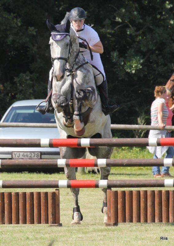 Tysk Oldenburger Benetton Du Rouet - Fra i sommers da vi var i Billund til C-stævne. Billedet er taget af Lisette billede 5