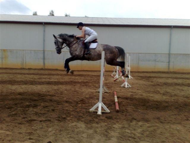 Tysk Oldenburger Benetton Du Rouet - Et lidt ældre billede af os fra gemmerne fra jyskrideuge. billede 6