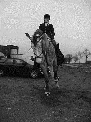 Tysk Oldenburger Benetton Du Rouet - Benne igang med at lave kunster :-) billede 7